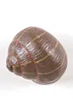 Nástenný vešiak Seletti Sleeping Snail #1 termoplastická živica