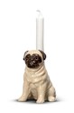 Byon sfesnic decorativ Pug multicolor 5294701403