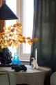 Byon świecznik dekoracyjny Pug multicolor