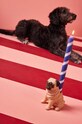Living și dormitor Byon sfesnic decorativ Pug 5294701403 multicolor