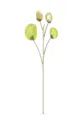zelena Dekorativna roža iz kristalov Swarovski Garden Tales Eukaliptus Unisex