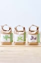 Набір для вирощування рослин Noted Cultivate & Eat- Lemon Scented Basil GD658BEU.LEMON. барвистий AA00