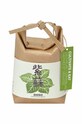 Noted zestaw do uprawy rośliny Yakumi, Shiso, Japanese Basil multicolor GD758EU.SHISO.