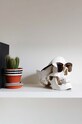 Lifestyle Luckies of London pojemnik na drobiazgi Skull Tidy SK.TIDYSKULL1 multicolor