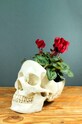 Nádoba na drobné predmety Luckies of London Skull Tidy SK.TIDYSKULL1