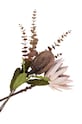 Штучні квіти House Nordic King Protea Bouquet барвистий 9501160