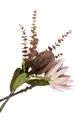 többszínű House Nordic művirágok King Protea Bouquet Uniszex