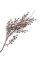 House Nordic sztuczne kwiaty King Protea Bouquet 9501150 multicolor AA00