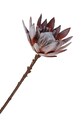 House Nordic sztuczne kwiaty King Protea Bouquet multicolor 9501150