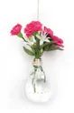 Dekoratívna váza Graine Creative Light Bulb priesvitná