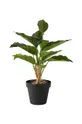 Bahne sztuczna roślina w doniczce Fishbone Plant
