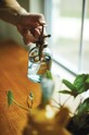 Ψεκαστήρας για φυτά Gentlemen's Hardware Glass Plant Mister πολύχρωμο GEN741UK