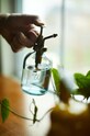 Ψεκαστήρας για φυτά Gentlemen's Hardware Glass Plant Mister GEN741UK πολύχρωμο