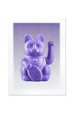 Donkey dekoracja ścienna Lucky Cat multicolor 400626