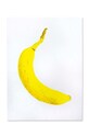 Donkey poster Banana multicolor 400625