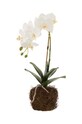 J-Line sztuczna roślina Orchid In Soil multicolor 12486