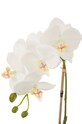 J-Line sztuczna roślina Orchid In Soil 12486 multicolor AA00