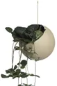 Závesný kvetináč AYTM Globe béžová