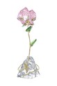 Swarovski dekoracja Florere 5666973 transparentny SS24