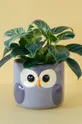 Kvetináč Balvi Owl Unisex