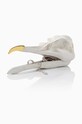 Шкатулка для прикрас Luckies of London Bird Skull SK.TIDYBIRD1 барвистий AA00