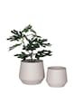 House Nordic set de ghivece de flori Trofa 2-pack 9201015 bej AA00