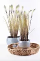 Affek Design finta pianta in vaso verde