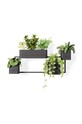 Umbra set ghivece de perete Cubiko negru 1018767.040
