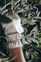 Vrtnarske rokavice Garden Glory Glove Silver Bullet M : Ekološko usnje