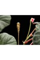 Garden Glory stâlp de plante Flower Stick Organic 19521.GG galben AA00