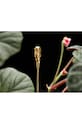 Garden Glory stâlp de plante Flower Stick Organic 19521.GG galben AA00
