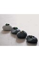 Noted set pentru cultivarea plantelor Plants Rock - Cactus gri GD807EU