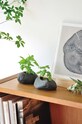 Noted zestaw do uprawy roślin Plants Rock - Basil GD806EU czarny AA00