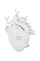 Вітальня та спальня Декоративна ваза Seletti Love in Bloom 09922 прозорий