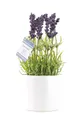 multicolore finta pianta in vaso Unisex
