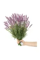 πολύχρωμο Ψεύτικα λουλούδια Lawenda 10-pack Unisex