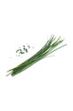 Вставка з насінням Veritable Chinese Chives VLIN.S10.Cib02F барвистий AA00
