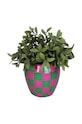 home & lifestyle doniczka KAL.4319 multicolor