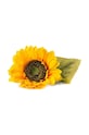 Veritable insertie de seminte Baby Sunsflower VLIN.F5.Tou065 multicolor AA00