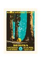 PLAKAT dekoracja ścienna Sequoia 30 x 40 cm multicolor KB1208PLAKSEQUOIA