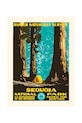 PLAKAT decorazione in murale Sequoia 30 x 40 cm multicolore KB1208PLAKSEQUOIA