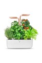 Veritable autonomiczny ogródek domowy Smart multicolor VPOT.SAWCO.EU2.213