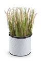 Кошик для зберігання Reisenthel Homebasket M RUA7062
