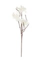 Bizzotto flori artificiale Magnolia