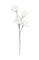 Bizzotto flori artificiale Magnolia alb 172715