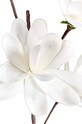 Bizzotto flori artificiale Magnolia 172715 alb AA00