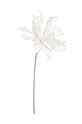 Bizzotto flori artificiale Hyacynth alb 172720