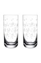 Набір склянок Villeroy & Boch Toy's Delight 440 ml 2-pack прозорий 11.3776.8260
