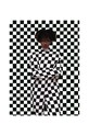 HARTMAN plakat a.i. art Black Magic Woman, 30 x 40 cm multicolor KB2011HAR.BMWOM07