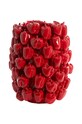 Декоративна ваза Light & Living Bellpepper барвистий 5879176